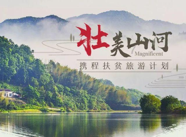 尽情观赏冬天的荷塘