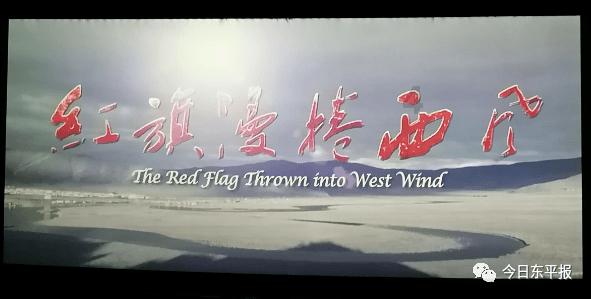 海岛冲浪